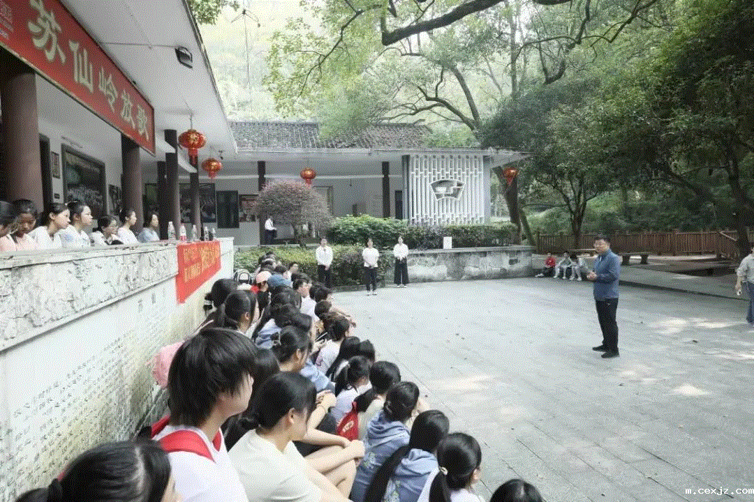 6.gif